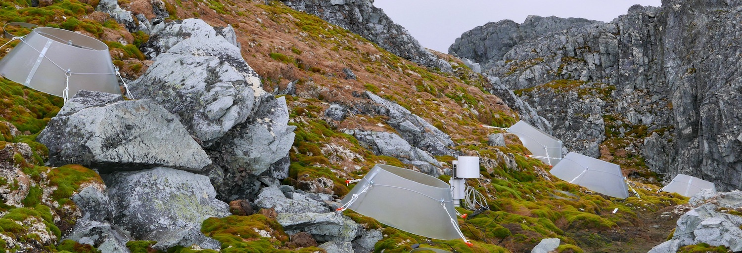 Five open-top warming chambers