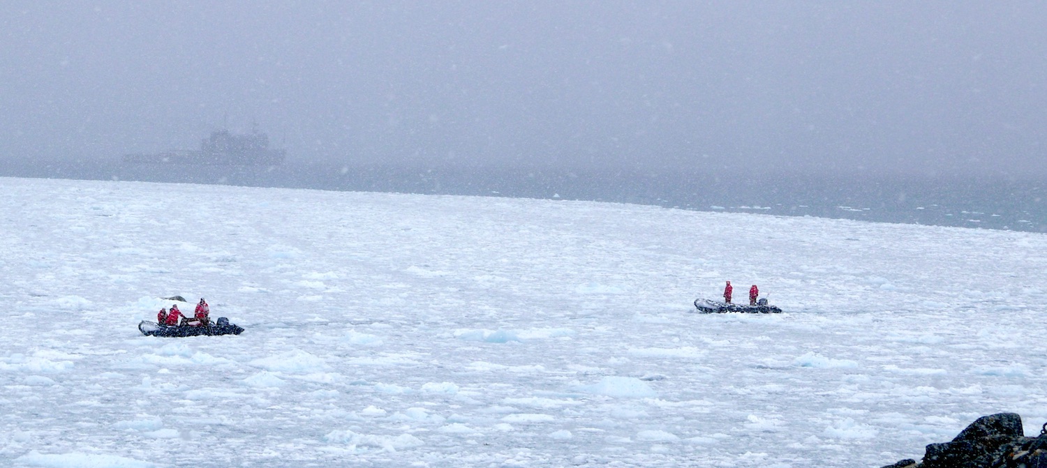 Zodiac in snowstorm