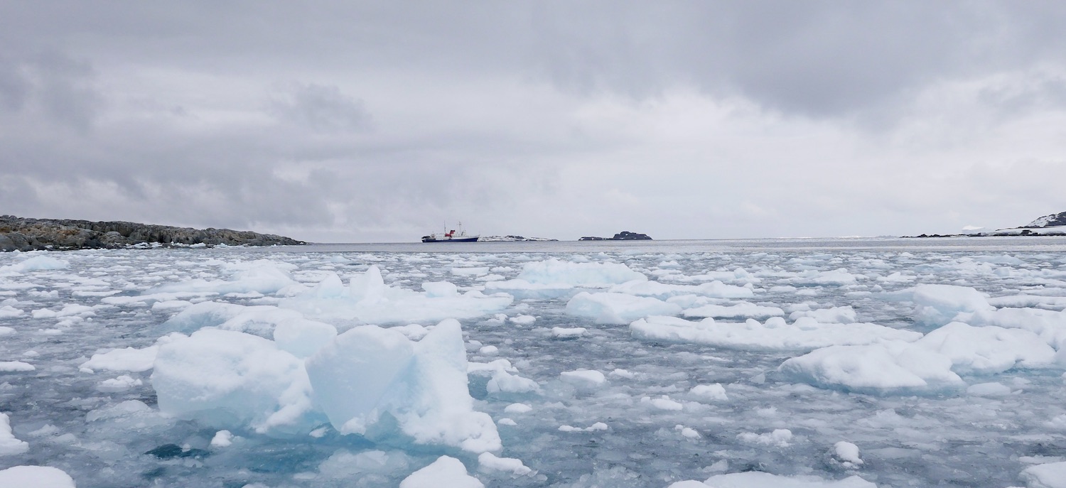 Braving brash ice