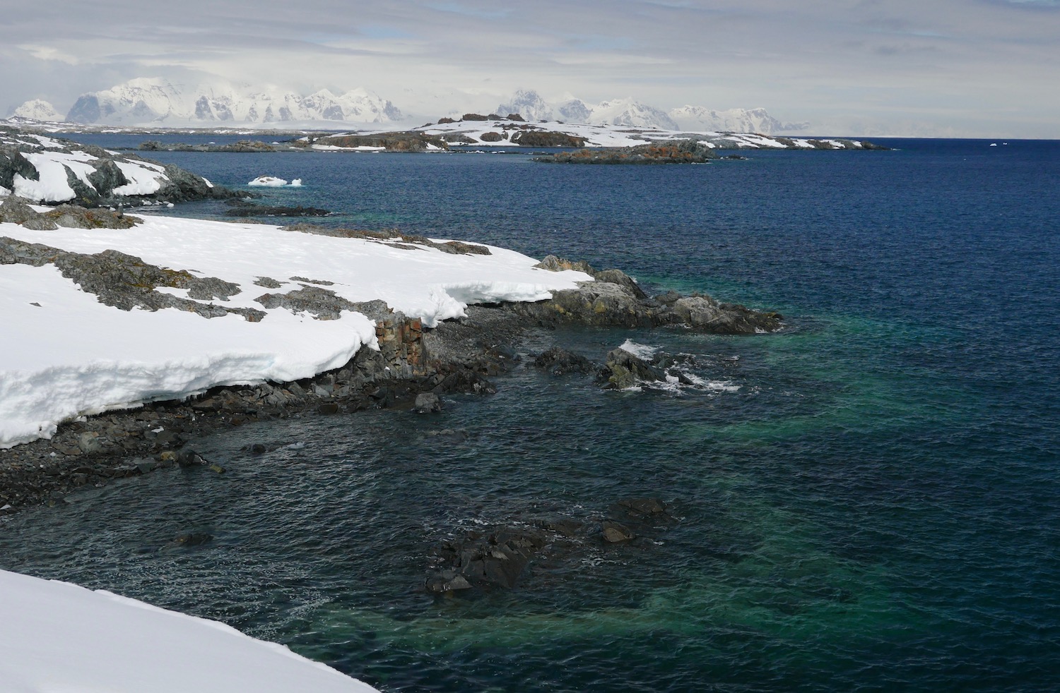 Amsler Island in December