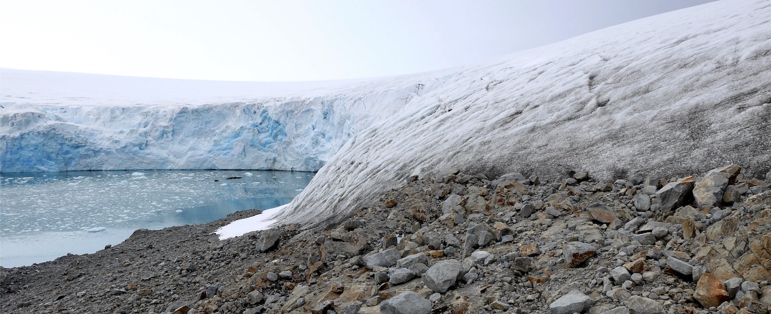 Marr Ice Piedmont terminus land and water