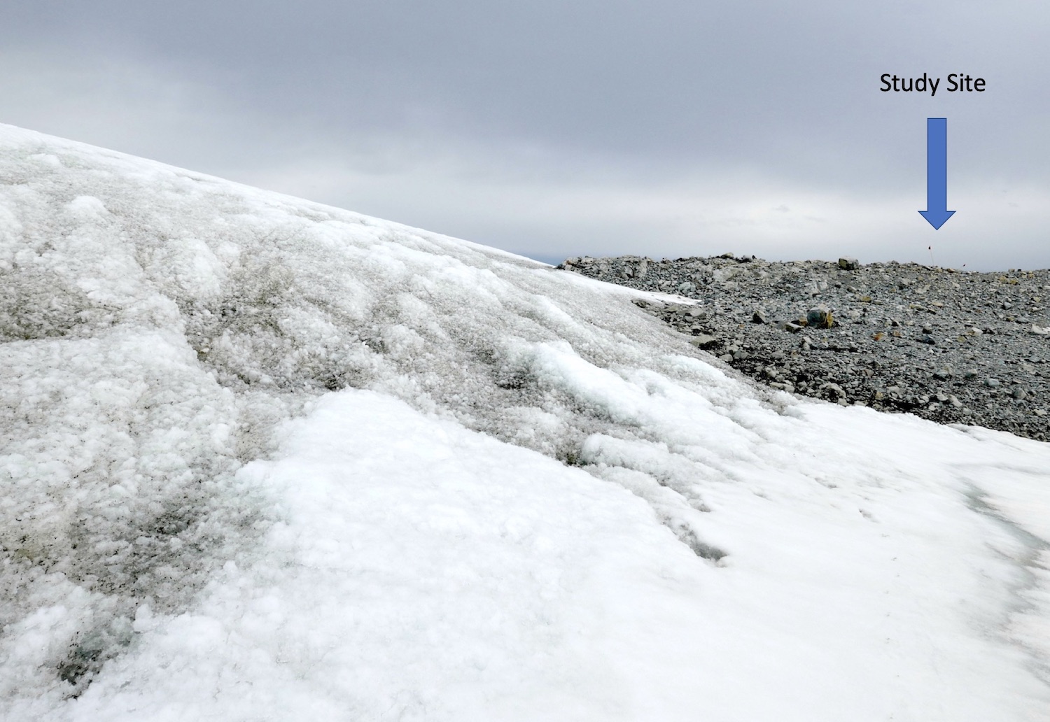 Site by glacier Jan 27