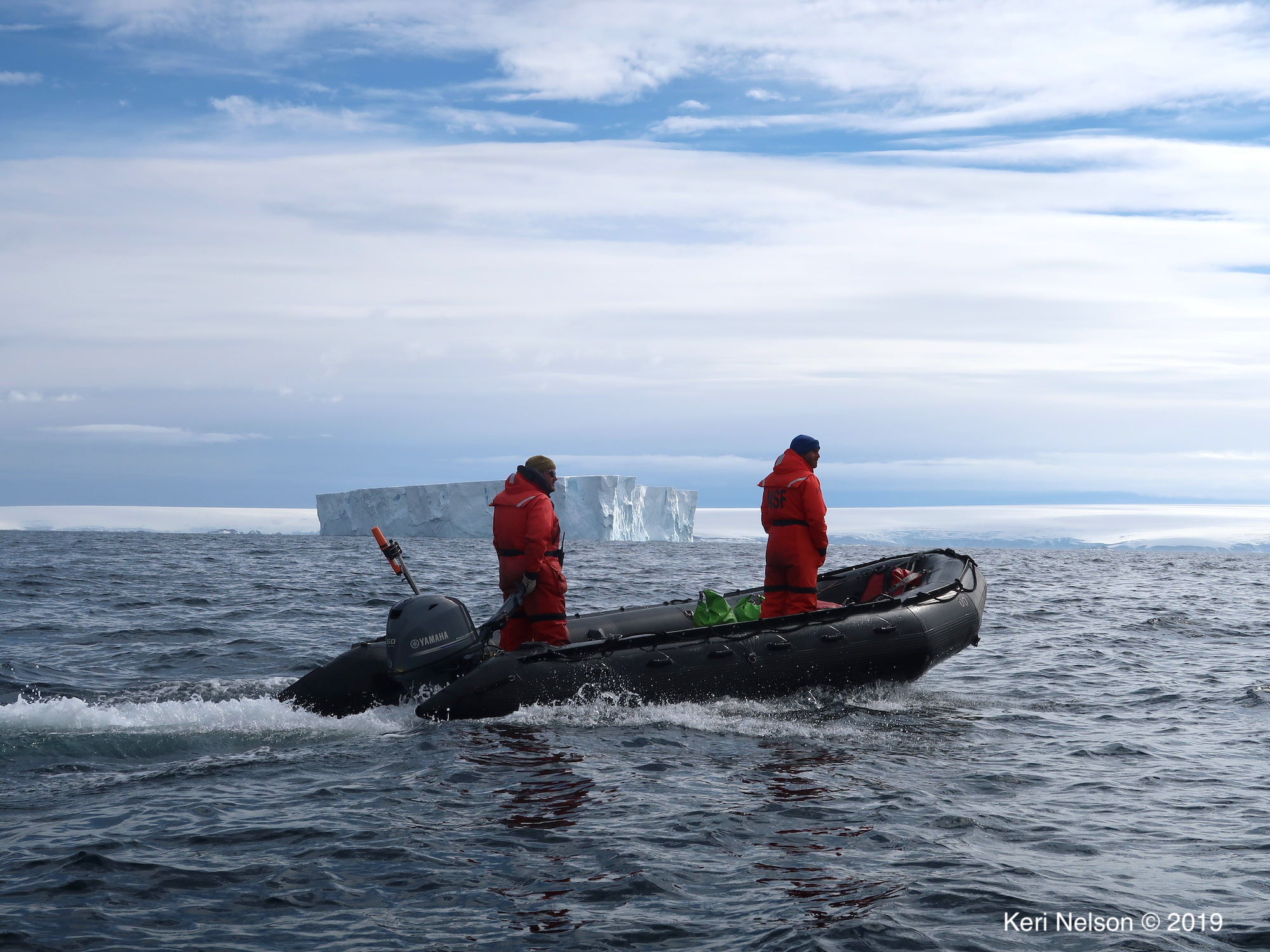 Searching for whales