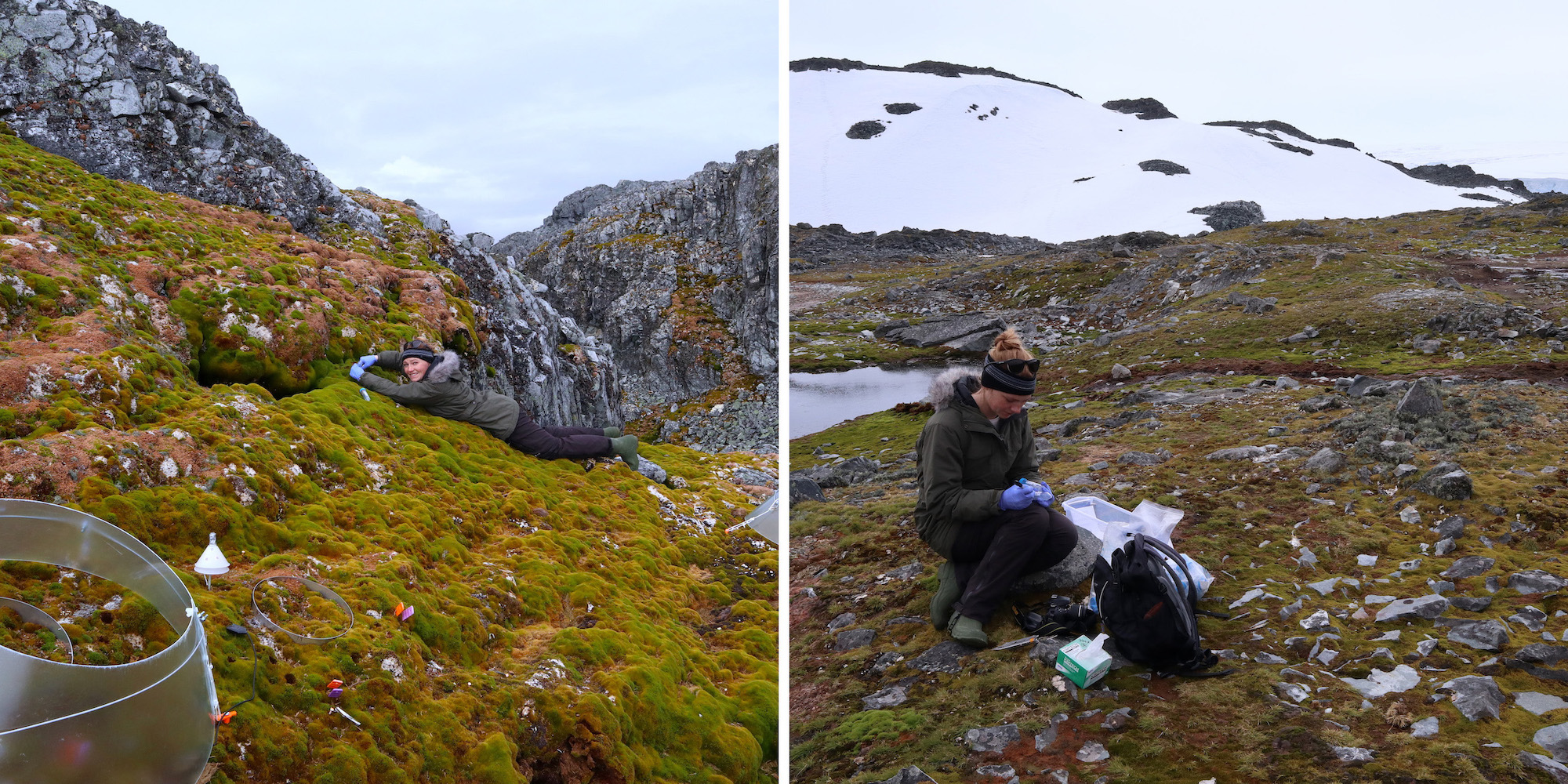 Kelly collecting moss