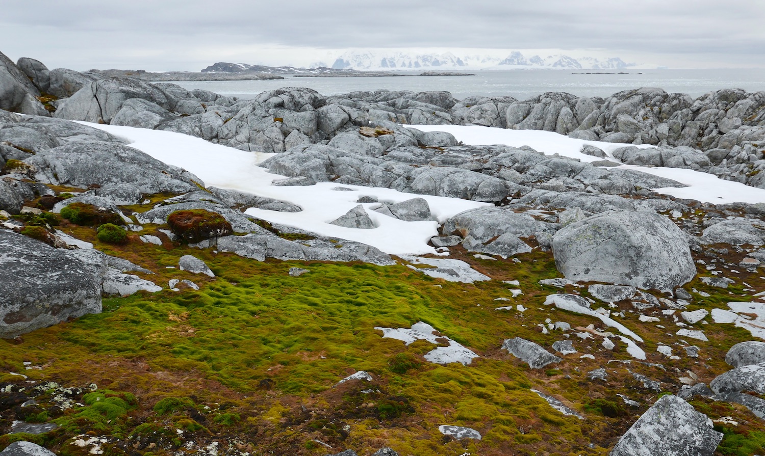 Moss and the Peninsula mountains