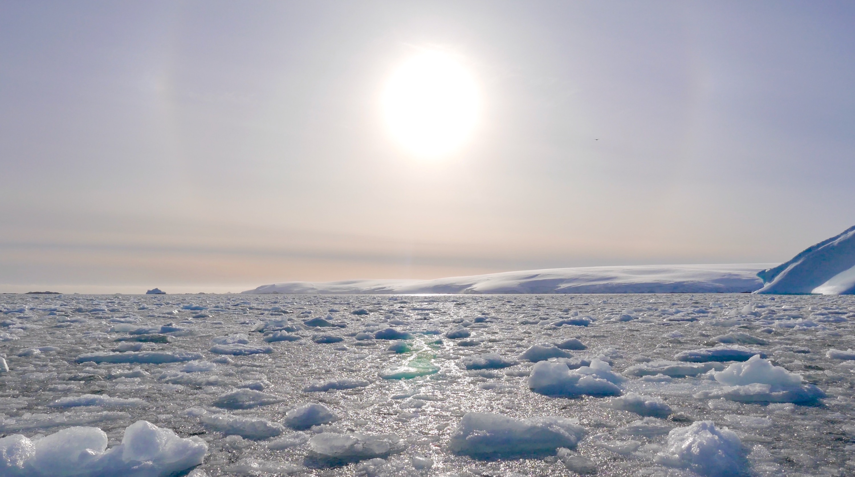 Sun halo and ice