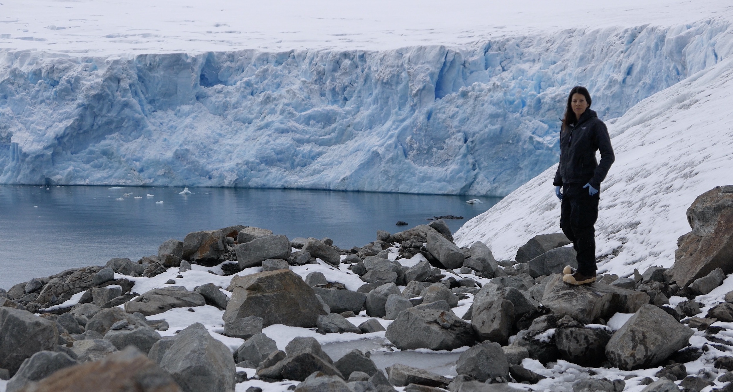 The magnificent Marr Ice Piedmont